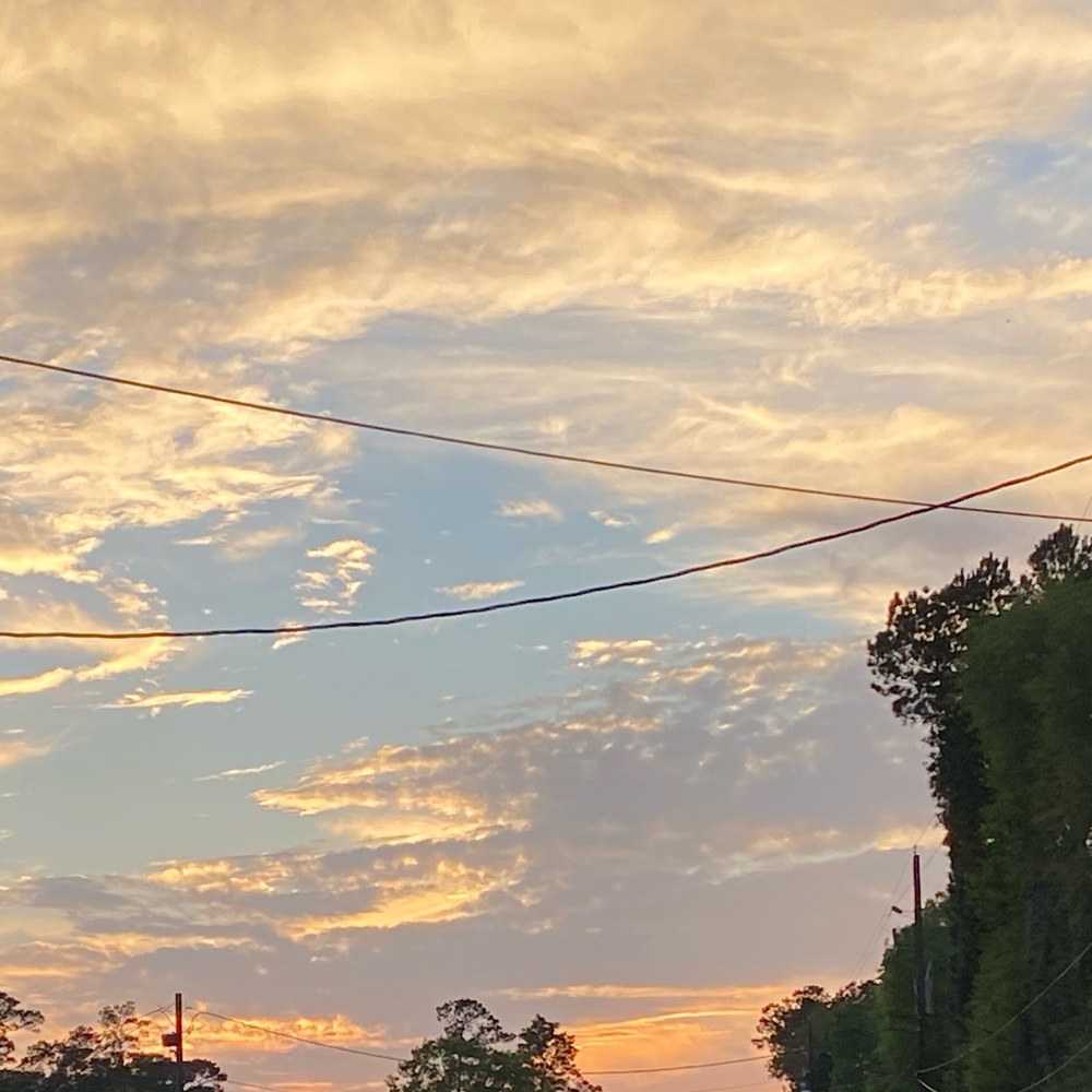 Meet your Posher, Peyton